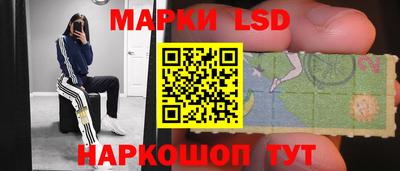 дурь Можга