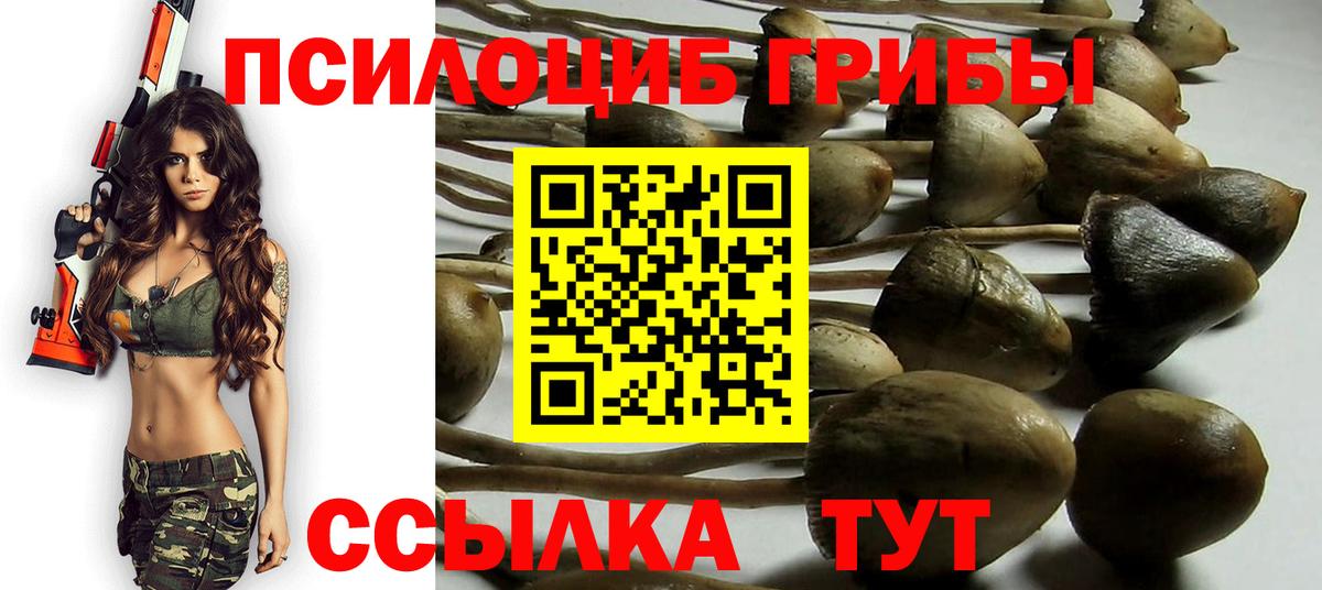 Галлюциногенные грибы Cubensis Тайшет